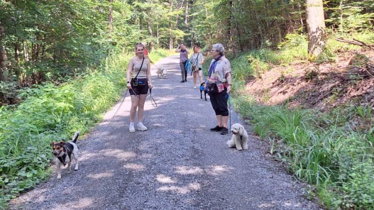 Social-Walks