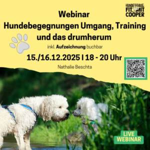 Webinar 12-25